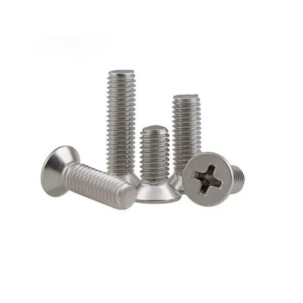 M4 x 12 Philips Head Round SS Screw Pack 20