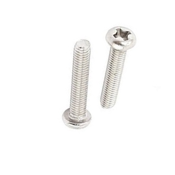 M2 X 6 Philips Head SS Screw Pack 20