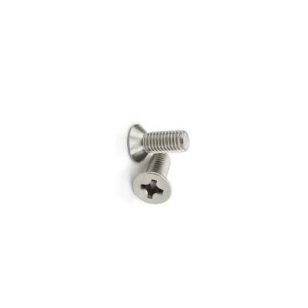 M2 X 6 Philips Head SS Screw 10 Pcs