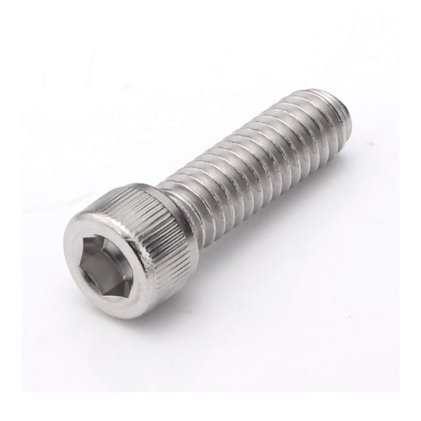 M3 x 6 Socket Head Allen Cap SS Screw Pack 20